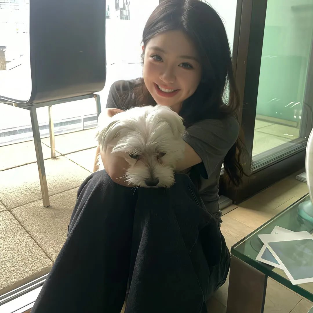 野兽与美人